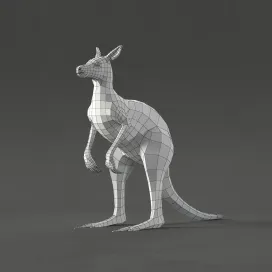 Kangaroo